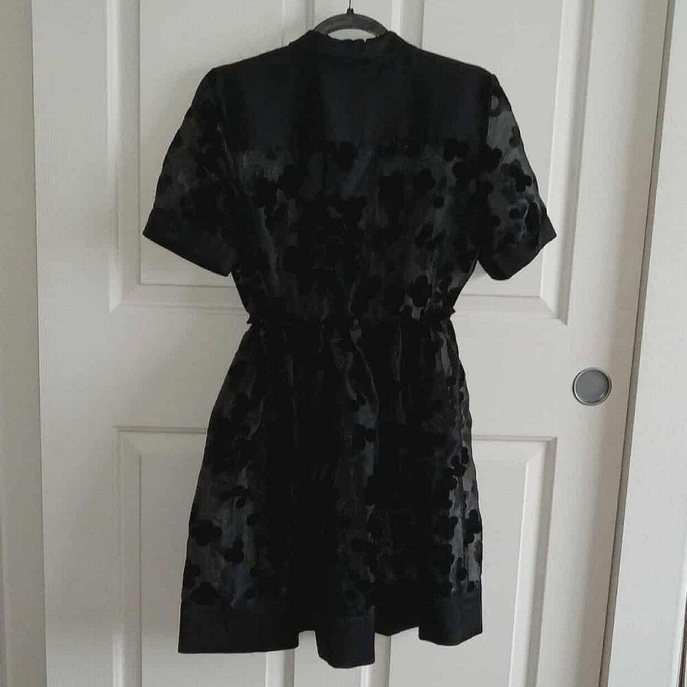 Shirt Collared Sheer Dress with Velvet Blossom Pattern - Picture 4 of 9